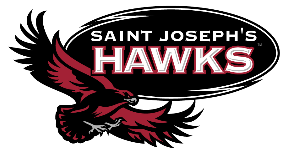 St. Joseph's Hawks 2002-2018 Alternate Logo diy iron on heat transfer